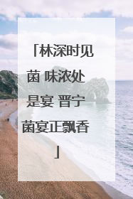 林深时见菌 味浓处是宴 晋宁菌宴正飘香