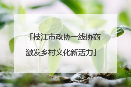 枝江市政协一线协商激发乡村文化新活力