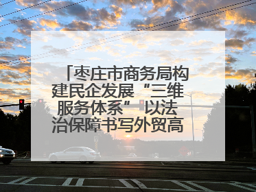 枣庄市商务局构建民企发展“三维服务体系” 以法治保障书写外贸高质量答卷