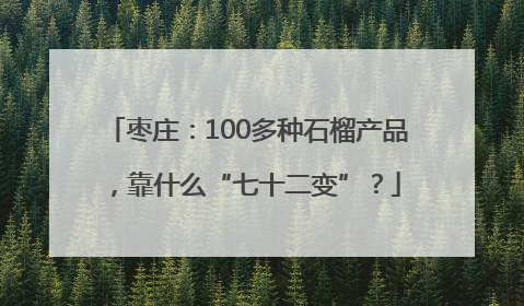 枣庄：100多种石榴产品，靠什么“七十二变”？