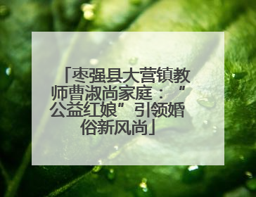 枣强县大营镇教师曹淑尚家庭：“公益红娘”引领婚俗新风尚
