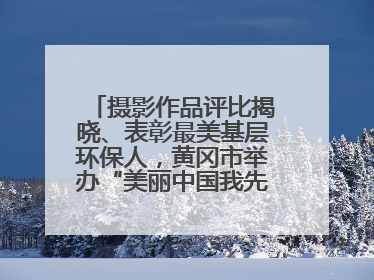 摄影作品评比揭晓、表彰最美基层环保人，黄冈市举办“美丽中国我先行”六五环境日主题宣传活动