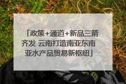 政策+通道+新品三箭齐发 云南打造南亚东南亚水产品贸易新枢纽