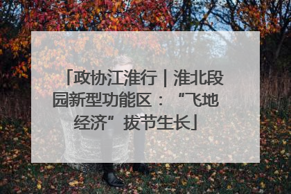 政协江淮行｜淮北段园新型功能区：“飞地经济”拔节生长