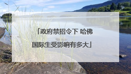 政府禁招令下 哈佛国际生受影响有多大
