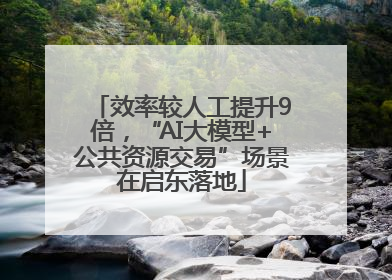 效率较人工提升9倍，“AI大模型+公共资源交易”场景在启东落地