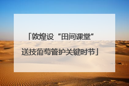 敦煌设“田间课堂” 送技葡萄管护关键时节