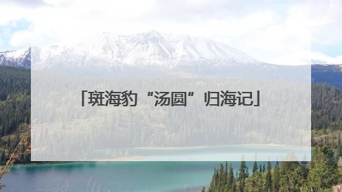 斑海豹“汤圆”归海记