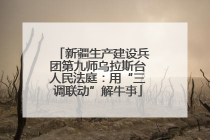 新疆生产建设兵团第九师乌拉斯台人民法庭：用“三调联动”解牛事