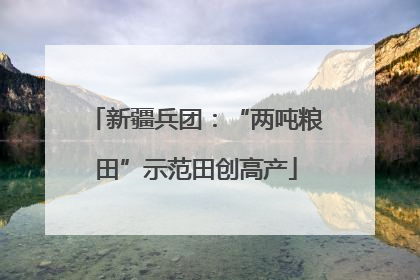 新疆兵团：“两吨粮田”示范田创高产