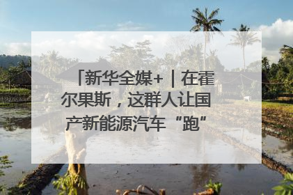 新华全媒+｜在霍尔果斯，这群人让国产新能源汽车“跑”向中亚(2)