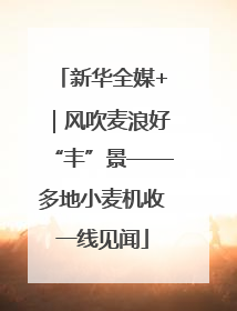 新华全媒+｜风吹麦浪好“丰”景——多地小麦机收一线见闻