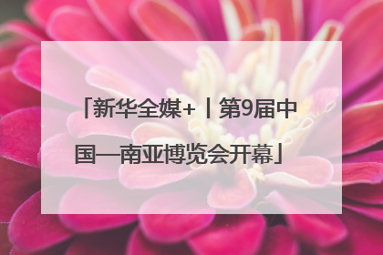 新华全媒+丨第9届中国—南亚博览会开幕