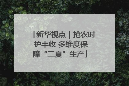 新华视点｜抢农时 护丰收 多维度保障“三夏”生产