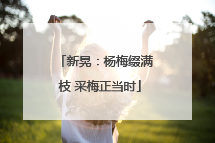 新晃：杨梅缀满枝 采梅正当时