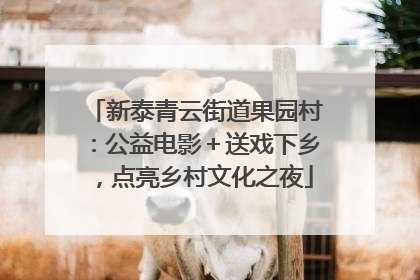 新泰青云街道果园村：公益电影＋送戏下乡，点亮乡村文化之夜
