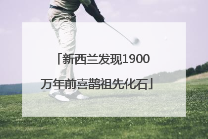 新西兰发现1900万年前喜鹊祖先化石