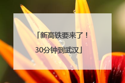 新高铁要来了！30分钟到武汉