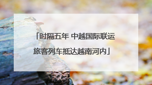 时隔五年 中越国际联运旅客列车抵达越南河内