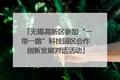 无锡高新区参加“一带一路”科技园区合作创新发展对话活动