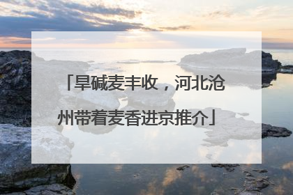 旱碱麦丰收，河北沧州带着麦香进京推介
