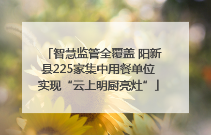 智慧监管全覆盖 阳新县225家集中用餐单位实现“云上明厨亮灶”