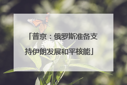 普京：俄罗斯准备支持伊朗发展和平核能