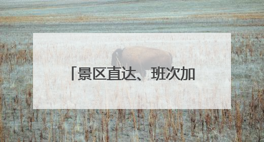 景区直达、班次加密、行李寄存……苏州公交推出14项惠民举措让端午出行“路路顺”