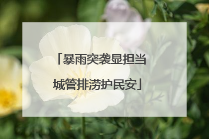 暴雨突袭显担当 城管排涝护民安
