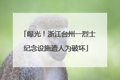 曝光！浙江台州一烈士纪念设施遭人为破坏