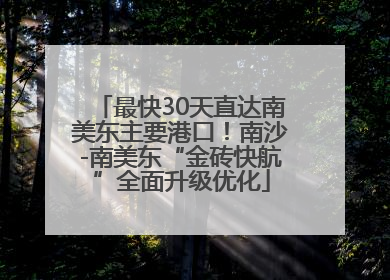 最快30天直达南美东主要港口！南沙-南美东“金砖快航”全面升级优化