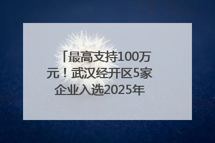 最高支持100万元！武汉经开区5家企业入选2025年度武汉市重点研发计划拟立项项目名单