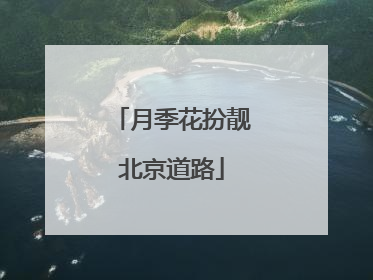 月季花扮靓北京道路