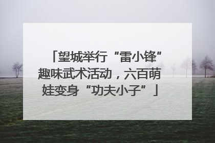 望城举行“雷小锋”趣味武术活动，六百萌娃变身“功夫小子”