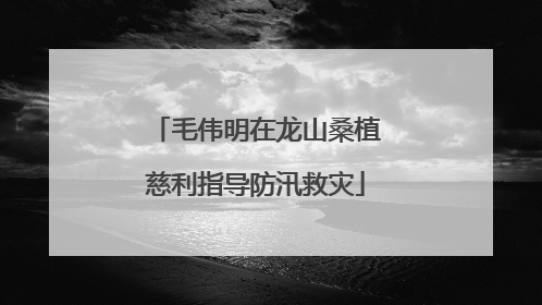 毛伟明在龙山桑植慈利指导防汛救灾
