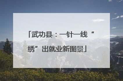 武功县：一针一线“绣”出就业新图景