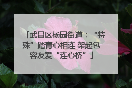 武昌区杨园街道：“特殊”踏青心相连 架起包容友爱“连心桥”