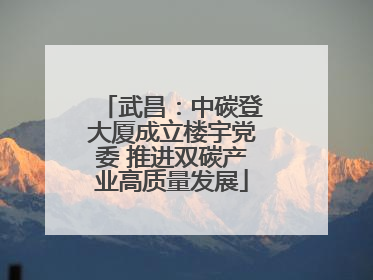 武昌：中碳登大厦成立楼宇党委 推进双碳产业高质量发展
