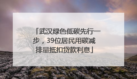 武汉绿色低碳先行一步，39位居民用碳减排量抵扣贷款利息