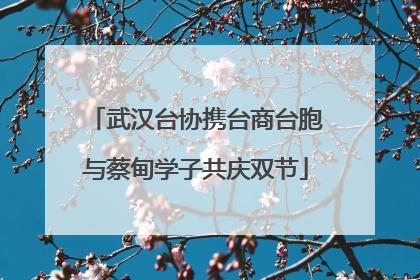 武汉台协携台商台胞与蔡甸学子共庆双节