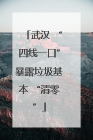 武汉 “四线一口”暴露垃圾基本 “清零”