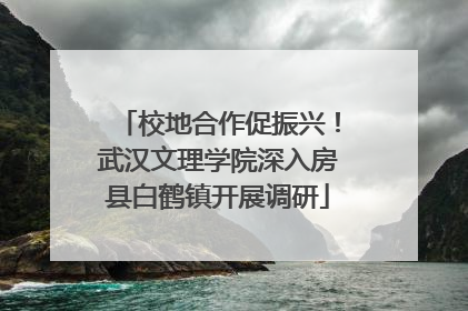 校地合作促振兴！武汉文理学院深入房县白鹤镇开展调研