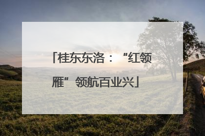 桂东东洛：“红领雁”领航百业兴