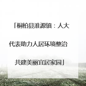 桐柏县淮源镇：人大代表助力人居环境整治 共建美丽宜居家园
