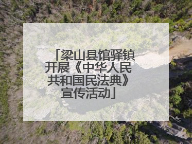 梁山县馆驿镇开展《中华人民共和国民法典》宣传活动