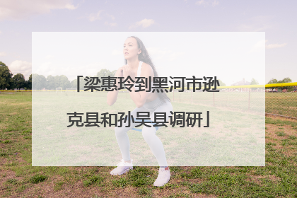 梁惠玲到黑河市逊克县和孙吴县调研