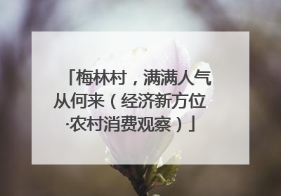 梅林村，满满人气从何来（经济新方位·农村消费观察）