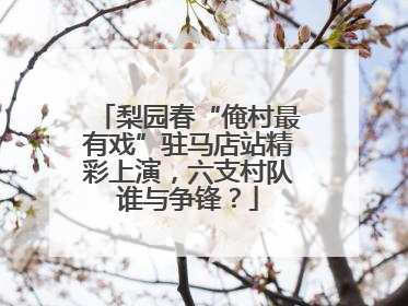 梨园春“俺村最有戏”驻马店站精彩上演，六支村队谁与争锋？