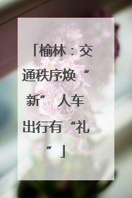 榆林：交通秩序焕“新” 人车出行有“礼”