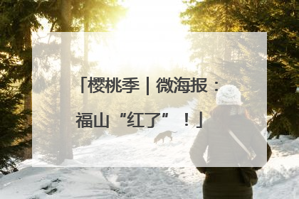 樱桃季｜微海报：福山“红了”！